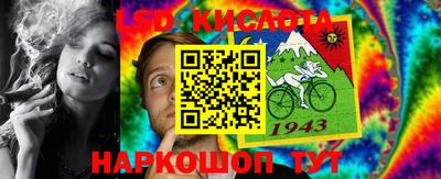 гашик Бердск