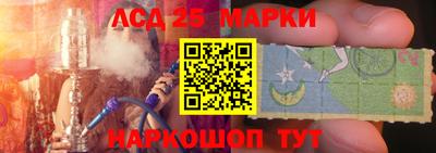 гашик Бердск
