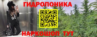 гашик Бердск