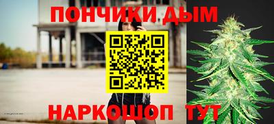 гашик Бердск