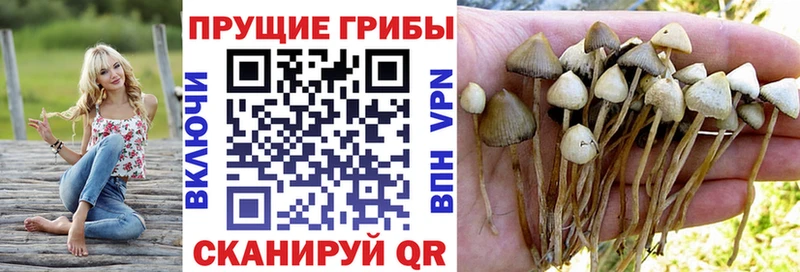 что такое наркотик  Отрадный  Галлюциногенные грибы ЛСД 