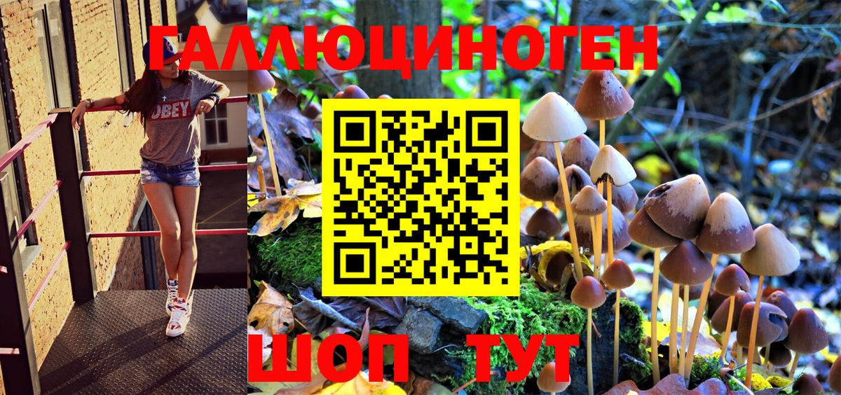 Галлюциногенные грибы GOLDEN TEACHER  Псилоцибиновые грибы MAGIC MUSHROOMS  Отрадный  Вход с VPN 