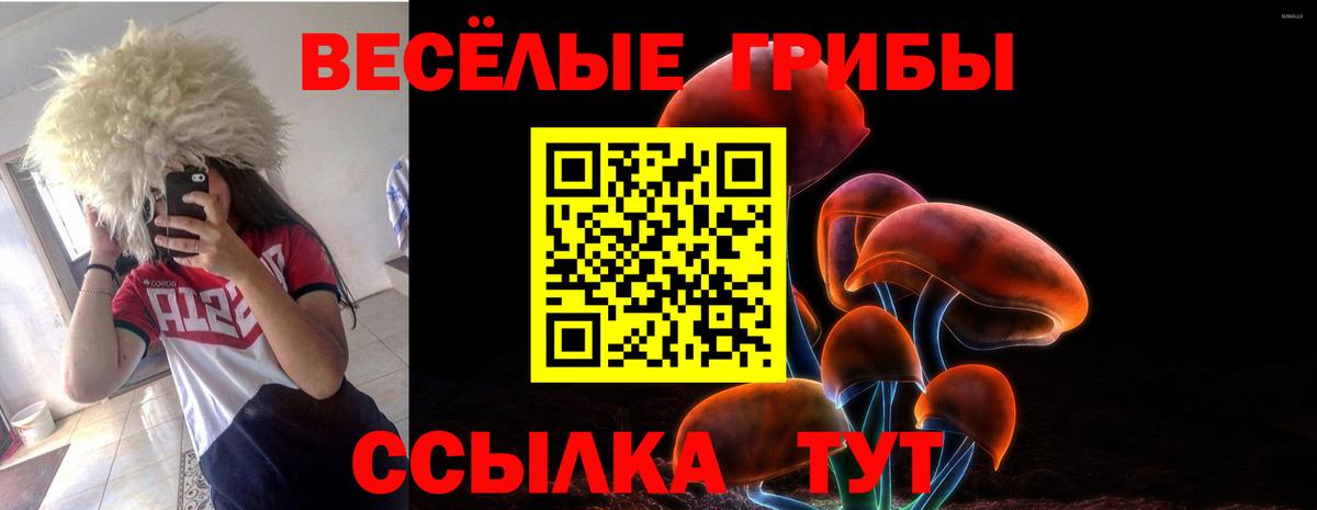 Галлюциногенные грибы Psilocybine cubensis Отрадный