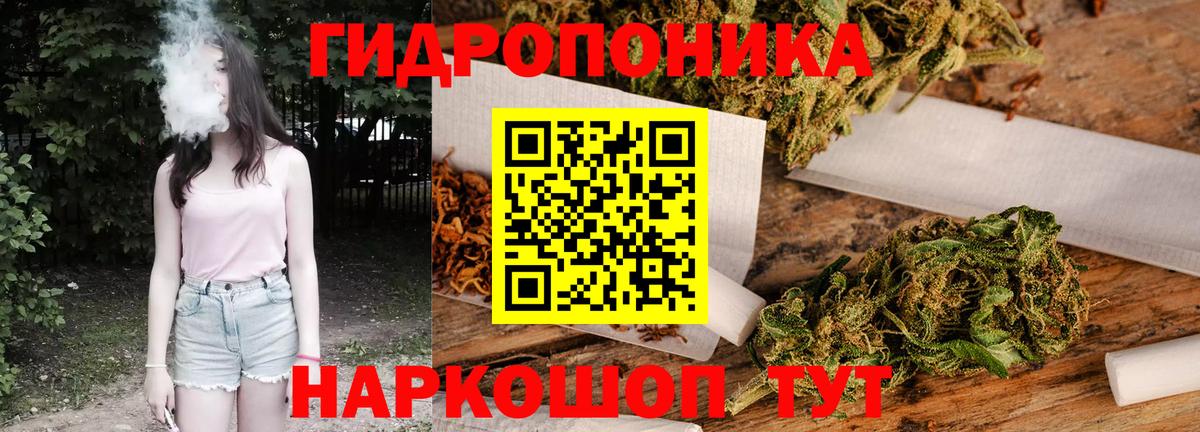 Конопля гибрид Отрадный